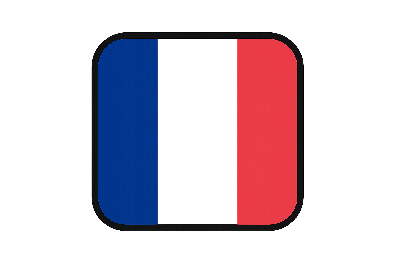 icone avec le drapeau francais